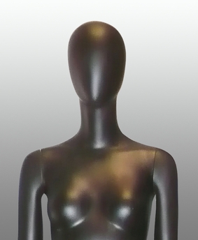 upper body of a biomass mannequin